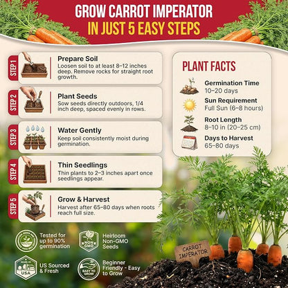 Organo Republic Imperator 58 Carrot Seeds Pack 2G - Over 1800 of Non-GMO Heirloom Carrot Seeds for Planting Vegetables in Individual Seed Packet, Vegetable Seeds for Planting Indoor & Outdoor Garden