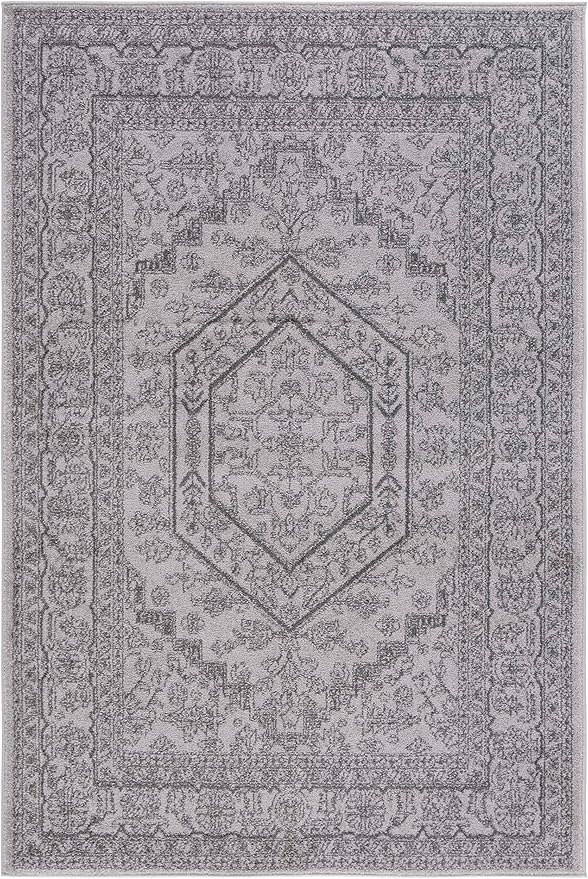 SAFAVIEH Adirondack Collection Accent Rug - 4' x 6', Light Grey & Dark Grey, Oriental Medallion Design, Non-Shedding & Easy Care, Ideal for High Traffic Areas in Foyer, Living Room, Bedroom (ADR108C)