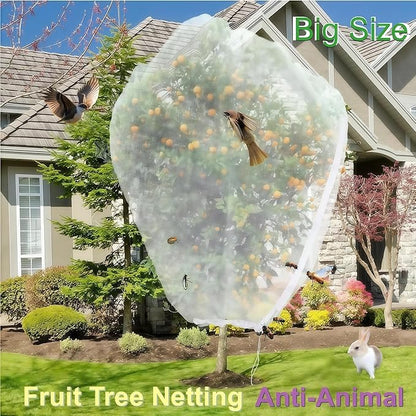 Fruit Tree Netting - Easy Install Plant Protection Cover, Reusable Garden Mesh Bag for Blueberry Bushes/Tomato - Block Birds/Insect/Squirrels (2, 6x7.2 FT)